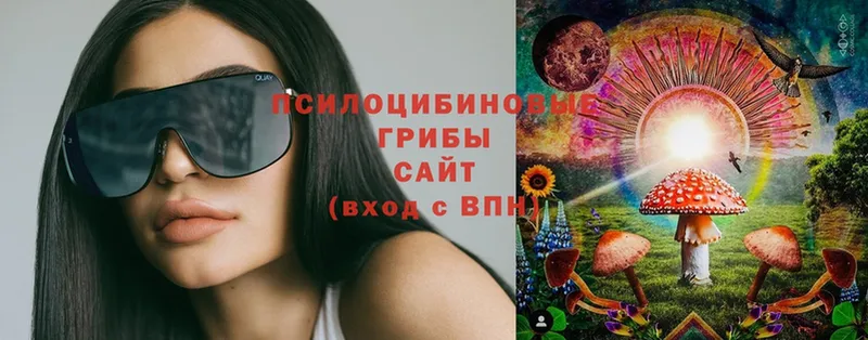 omg рабочий сайт  Велиж  Галлюциногенные грибы Psilocybine cubensis 